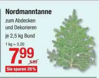 V Baumarkt Nordmanntanne Angebot