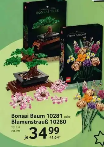 Selgros Bonsai Baum 10281 Oder Blumenstrauß 10280 Angebot