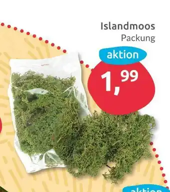 Budni Islandmoos Angebot