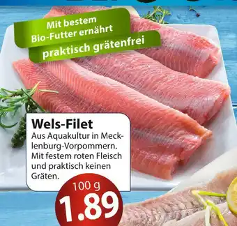Famila Nord Ost Wels-filet Angebot