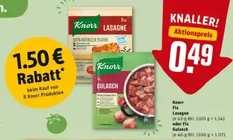 REWE Knorr fix lasagne oder fix gulasch Angebot