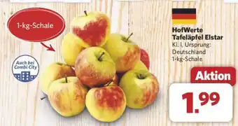 Combi HofWerte Tafeläpfel Elstar Angebot