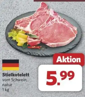 Combi Stielkotelett Angebot