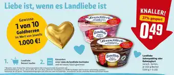 REWE Landliebe sahnepudding oder rahmjoghurt Angebot