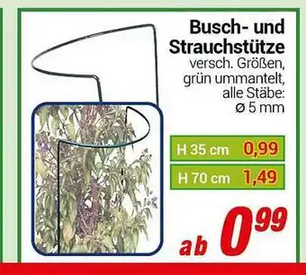 CENTERSHOP Busch und Strauchstütze Angebot