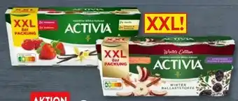 Aldi Nord Activia XXL Angebot