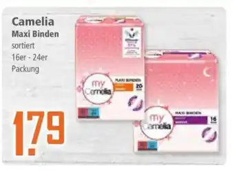 Klaas und Kock Camelia Maxi Binden Angebot