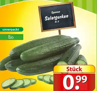 Famila Nord Ost Salatgurken Angebot