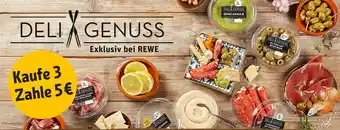 REWE Deli & genuss antipasti Angebot