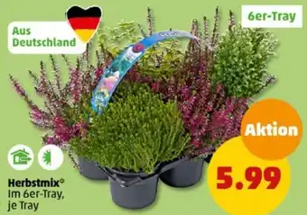 PENNY Herbstmix Angebot