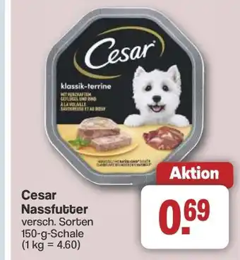 Famila Nord West Cesar Nassfutter Angebot