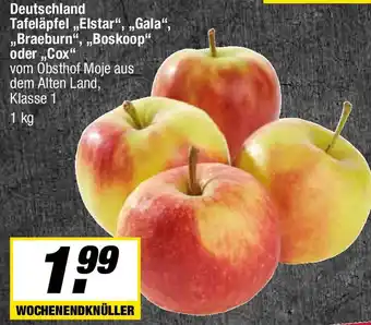 L. STROETMANN GROSSMARKT Deutschland Tafeläpfel ,,Elstar" Angebot