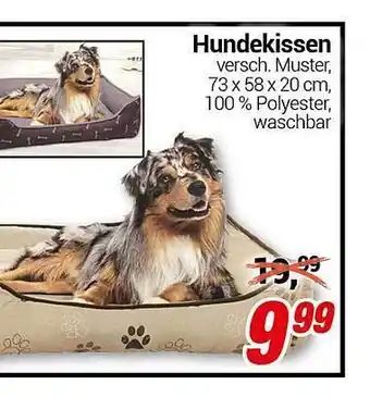 CENTERSHOP Hundekissen Angebot