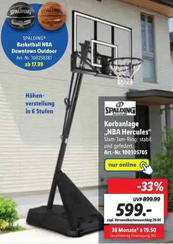 Lidl Spalding Korbanlage ..NBA Hercules" Angebot