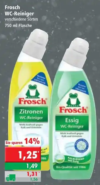 L. STROETMANN GROSSMARKT Frosch WC Reiniger 750ml Angebot