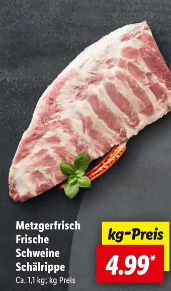 Lidl Metzgerfrisch frische schweine schälrippe Angebot
