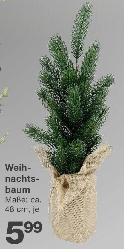 Weihnachtsbaum Angebot bei KiK
