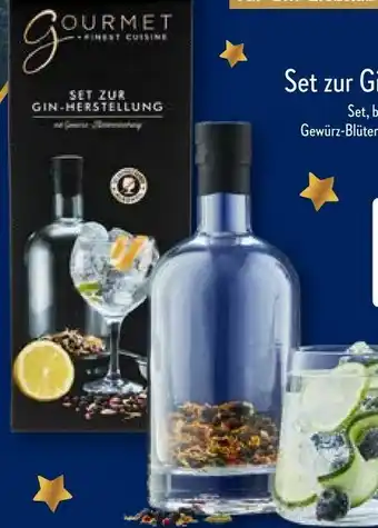 Aldi Nord Set zur Gin-Herstellung Angebot