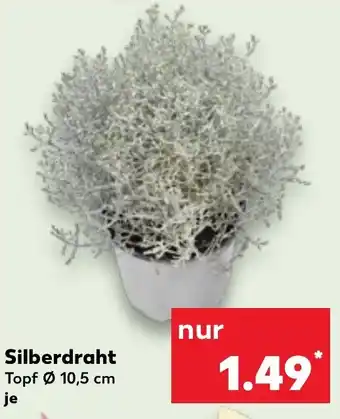 Kaufland Silberdraht Angebot