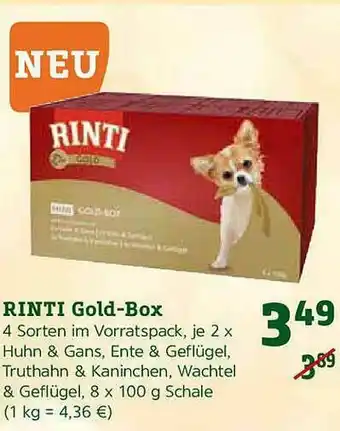 Pflanzen Kölle Rinti Gold-box Angebot