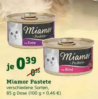 Pflanzen Kölle Miamor Pastete Angebot