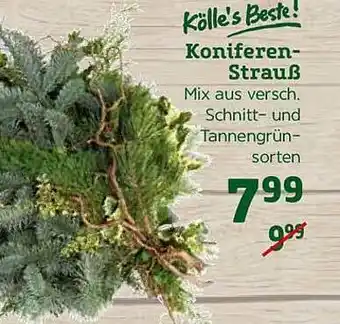 Pflanzen Kölle Kölle's Beste! Koniferen-strauß Angebot