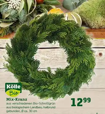 Pflanzen Kölle Kölle Bio Mix-kranz Angebot