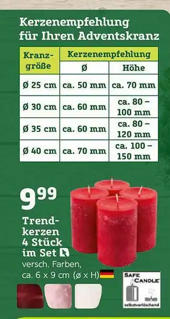 Pflanzen Kölle Trendkerzen 4 Stück Im Set Angebot