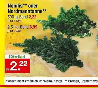 Zimmermann Nobilis Oder Nordmanntanne Angebot