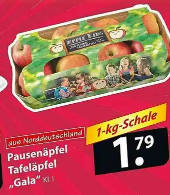 Famila Nord Ost Pausenäpfel Tafeläpfel „gala“ Angebot