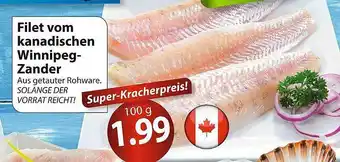 Famila Nord Ost Filet Vom Kanadischen Winnipeg-zander Angebot