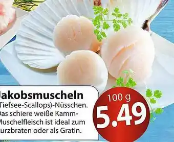 Famila Nord Ost Jakobsmuscheln Angebot