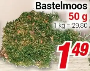 CENTERSHOP Bastelmoos Angebot