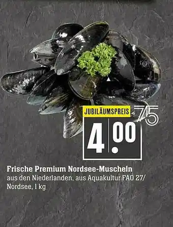 Scheck-in-Center Frische Premium Nordsee-muscheln Angebot