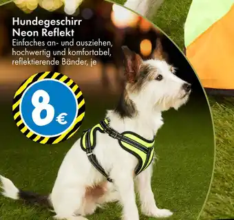 TEDi Hundegeschirr neon reflekt Angebot