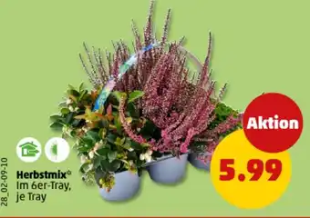 PENNY Herbstmix Angebot