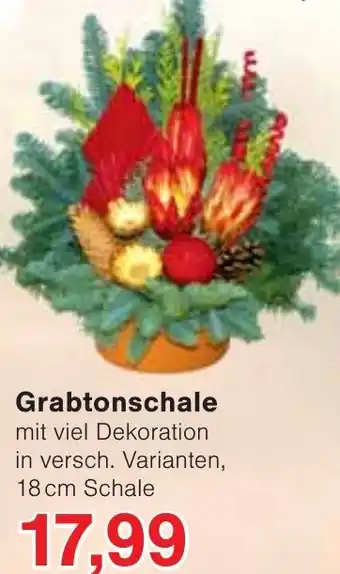 Wiglo Wunderland Grabtonschale Angebot