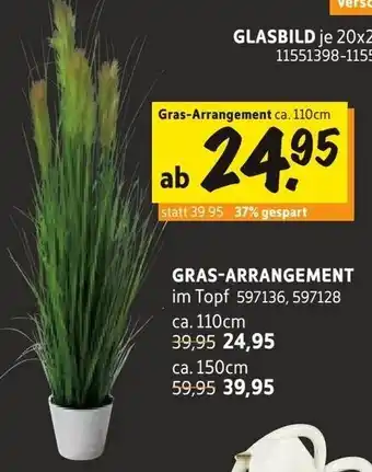 SCONTO Gras Arrangement Angebot