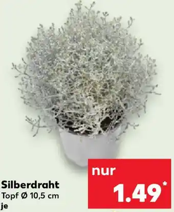 Kaufland Silberdraht Angebot