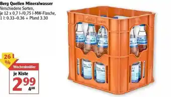 Globus Berg Quellen Mineralwasser Angebot