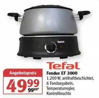 Globus Tefal Fondue Ef 3000 Angebot