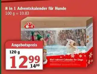 Globus 8in1 Adventskalender Für Hunde Angebot