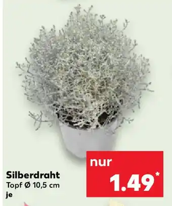 Kaufland Silberdraht Angebot