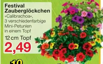 Jawoll Festival Zauberglöckchen Angebot