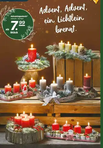 NETTO Adventsgesteck Angebot