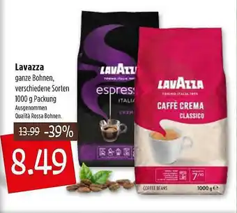 Kupsch Lavaza Angebot