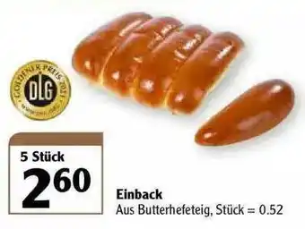 Globus Einback Angebot