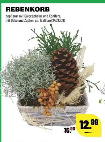 Leitermann Baumarkt Rebenkorb Angebot