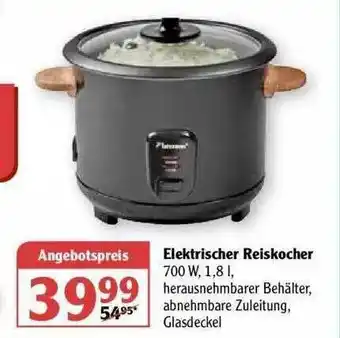 Globus Elektrischer Reiskocher Angebot