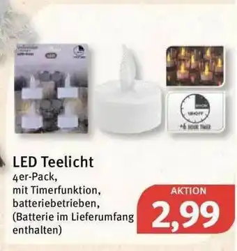 Feneberg Led Teelicht Angebot